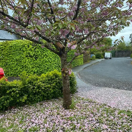 Cashel Holiday home Cashel (Tipperary)